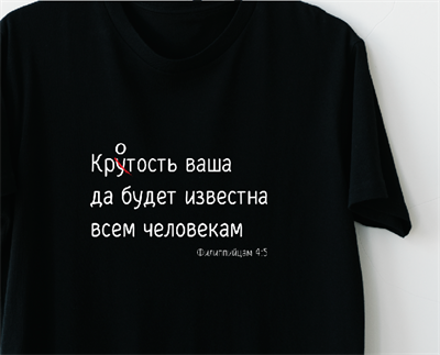 Кротость, христианский принт на русском, христианский мерч, христианская надпись, одежда христианская, христианская футболка, христиане, проповедь Евангелия, христианские товары